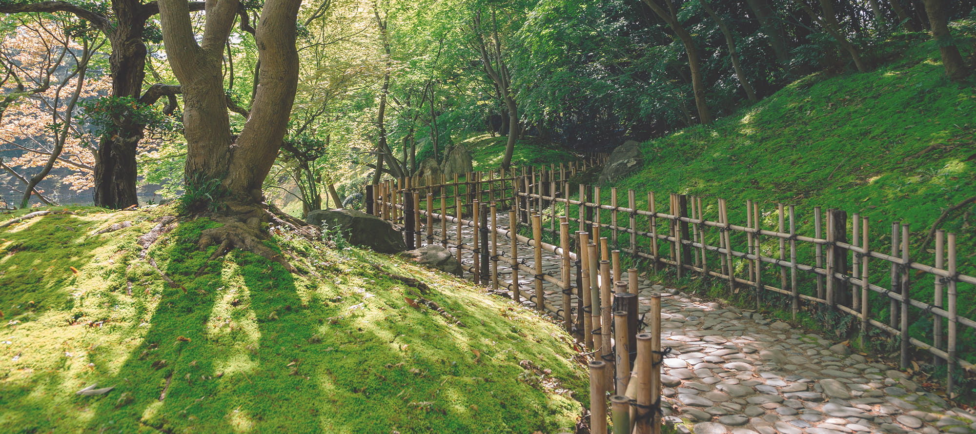 街と暮らしに、緑の価値を。