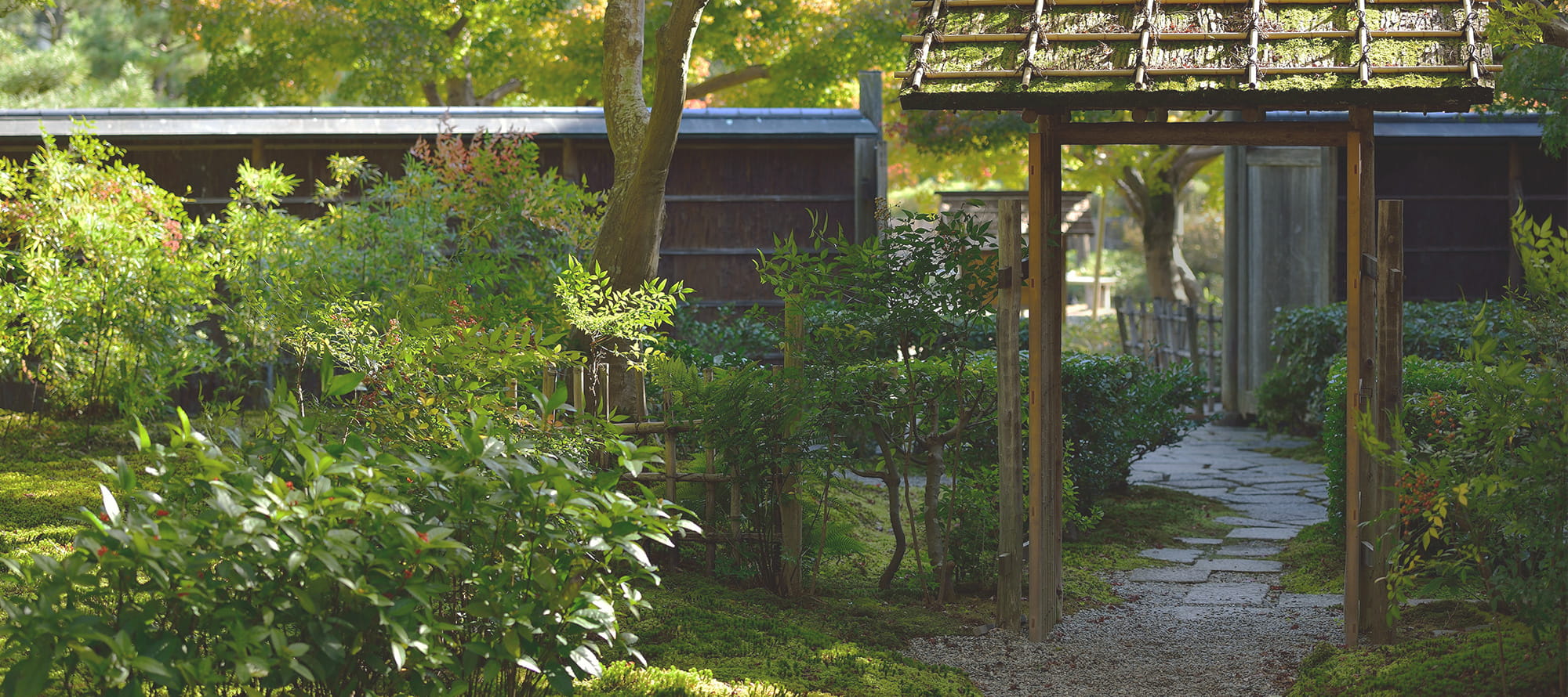 街と暮らしに、緑の価値を。