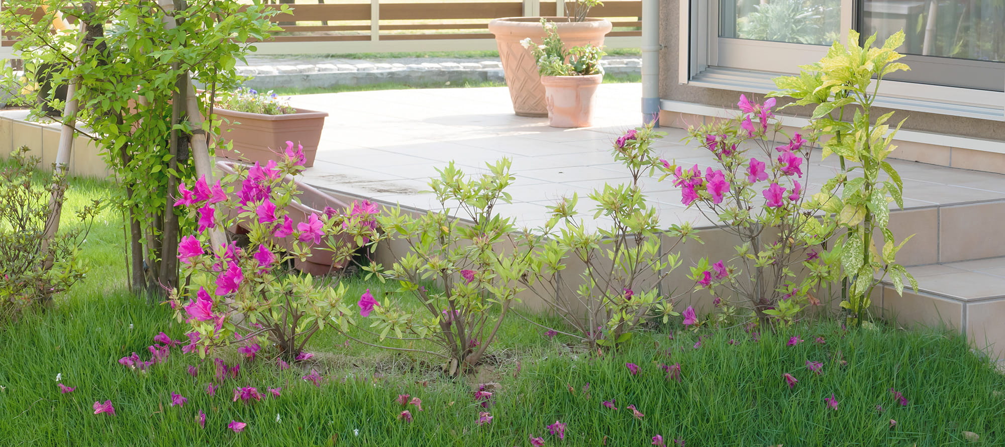 街と暮らしに、緑の価値を。